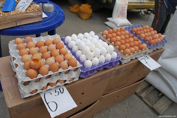 Луцьк ярмаркував. ФОТО