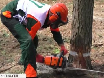 Незвичні змагання: на Волині відбувся чемпіонат лісорубів. ВІДЕО