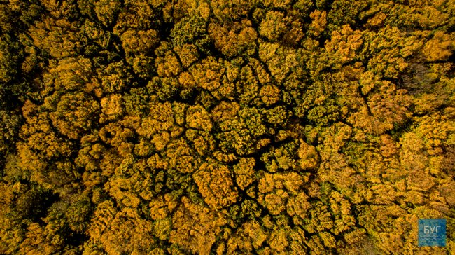 Неймовірні краєвиди волинського селища показали з висоти. ВІДЕО