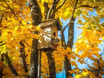 Якою буде погода в Луцьку та Волинській області у понеділок, 23 жовтня