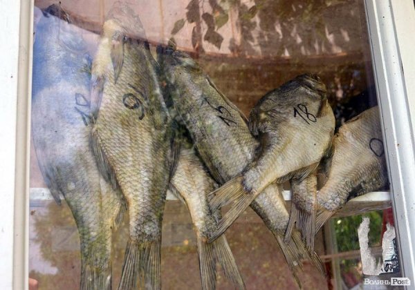 Місцева рибка під пиво.