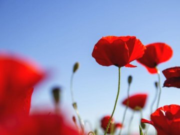 Погода у Луцьку та Волинській області на завтра, 14 червня