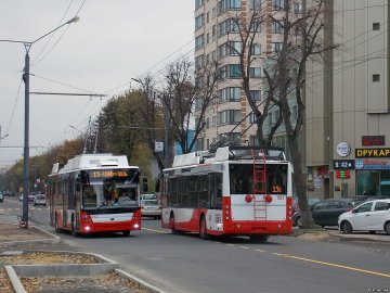 Майже половина пасажирів луцьких тролейбусів не платить за проїзд