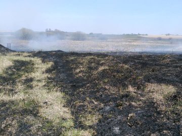 Через спалювання сухої трави згорів садок волинянки