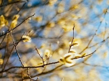 День весняного рівнодення 2019: особливості, прикмети, ритуали