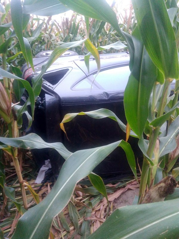 На Волині водій на «євроблясі» перекинувся у поле з кукурудзою. ФОТО