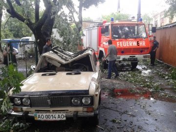 Наслідки вчорашнього буревію в Ужгороді: повалені дерева, пошкоджені автівки.  ФОТО