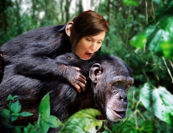 Інтернет вибухнув фотожабами на регіоналку з відкритим ротом. ФОТО. ВІДЕО