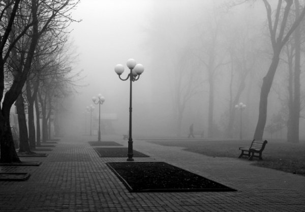 Фотовиставка Олександра Шишкіна