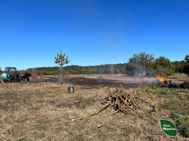 На Волині порушники підпалили самосійний ліс. ФОТО