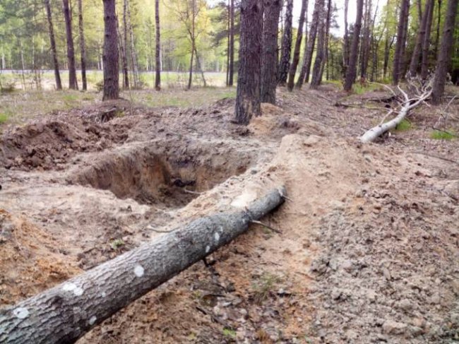 У волинському лісництві «на гарячому» затримали бурштинокопачів