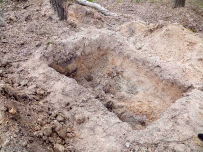 У волинському лісництві «на гарячому» затримали бурштинокопачів