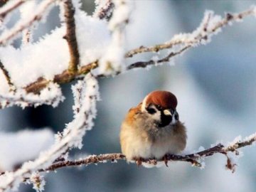 Погода у Луцьку на завтра, 22 грудня