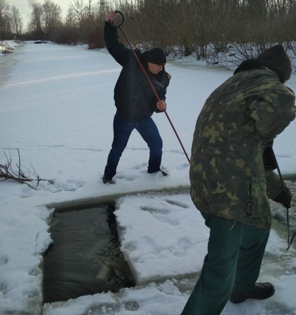 На Стиру прорубали ополонки, щоб рибі було чим дихати