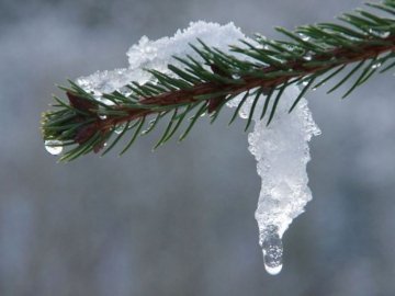 Погода у Луцьку на завтра, 17 грудня