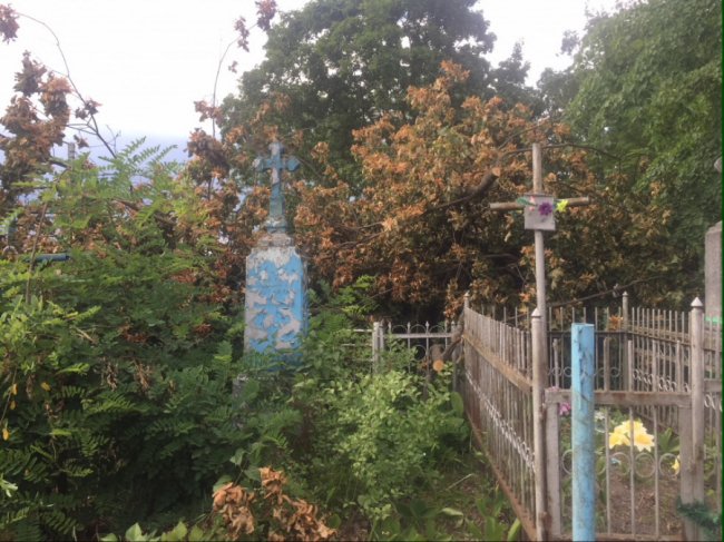 Вандалізм на кістках: у Ківерцях комунальників звинувачують у знищенні кладовища. ФОТО