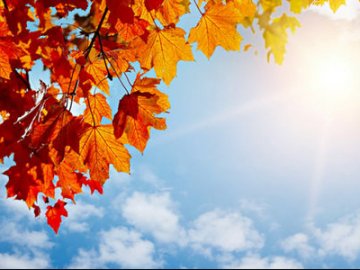 Погода в Луцьку та Волинській області на п’ятницю, 28 вересня