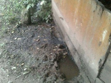 У луцьку Сапалаївку стікала гноївка