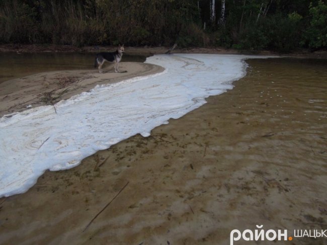 Самотній і чудернацький: оприлюднили фото осіннього Світязю