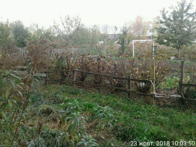 У Луцьку муніципали знесли декілька парканів. ФОТО