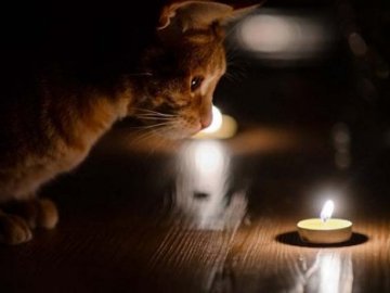 Деякі вулиці Луцька залишаться без світла 12 грудня