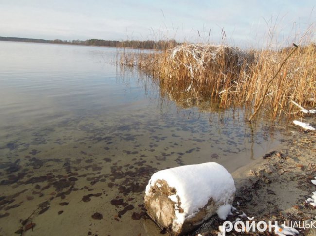 Шацькі озера засипало снігом. ФОТО