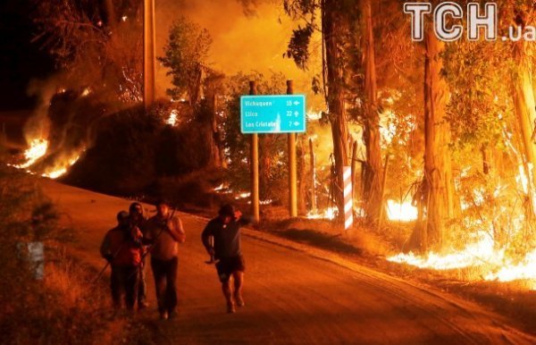 Фото масштабних лісових пожеж у Чилі