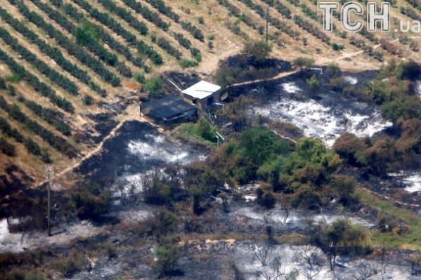 Фото масштабних лісових пожеж у Чилі