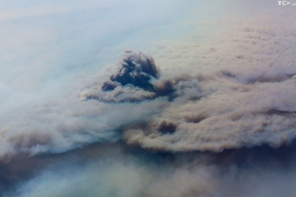 Фото масштабних лісових пожеж у Чилі
