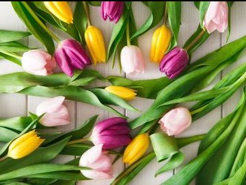 Погода у Луцьку на завтра, 7 березня