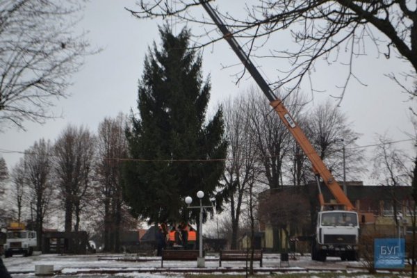 Головна ялинка Нововолинська – заввишки з 5-поверхівку