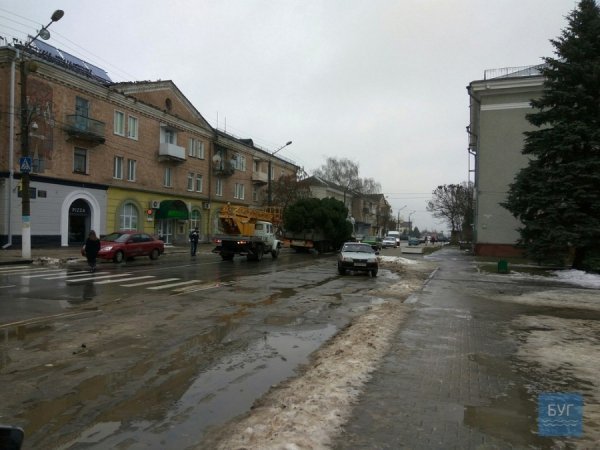 Головна ялинка Нововолинська – заввишки з 5-поверхівку