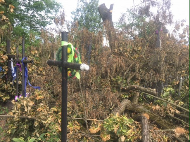 Вандалізм на кістках: у Ківерцях комунальників звинувачують у знищенні кладовища. ФОТО