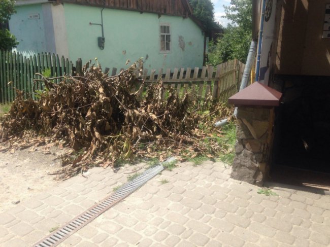 Вандалізм на кістках: у Ківерцях комунальників звинувачують у знищенні кладовища. ФОТО