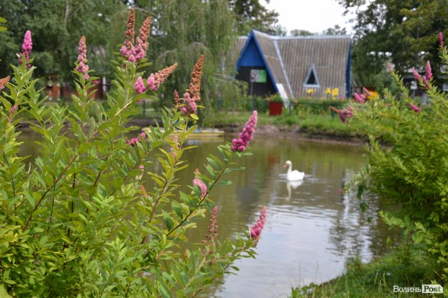 У Луцькому зоопарку збиратимуть кошти на лемура за допомогою сучасних технологій