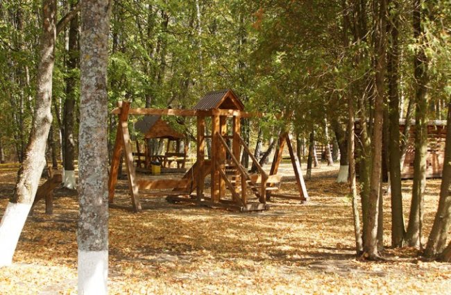 Атмосферні осінні світлини лісових рекреаційних зон на Волині. ФОТО