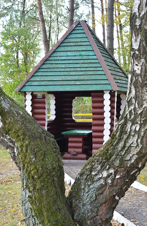 Атмосферні осінні світлини лісових рекреаційних зон на Волині. ФОТО