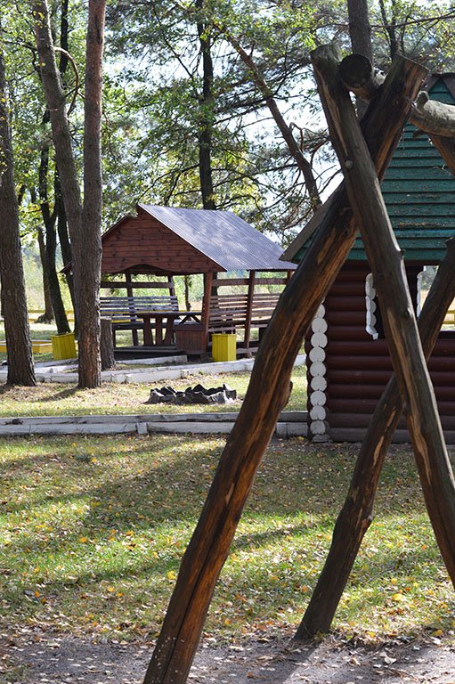 Атмосферні осінні світлини лісових рекреаційних зон на Волині. ФОТО