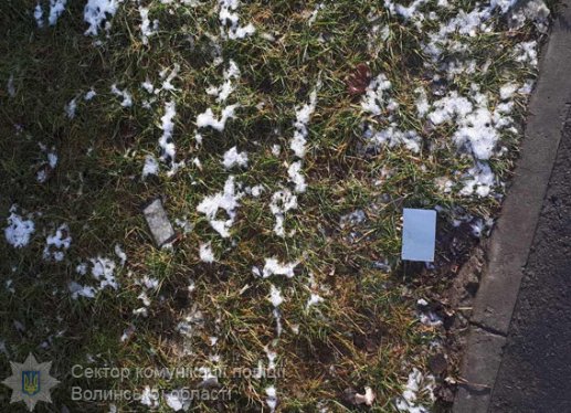 На Волині затримали грабіжників