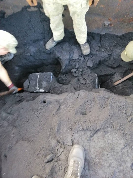 На Волині службовий пес винюхав у вагоні вантажного потяга  контрабанду