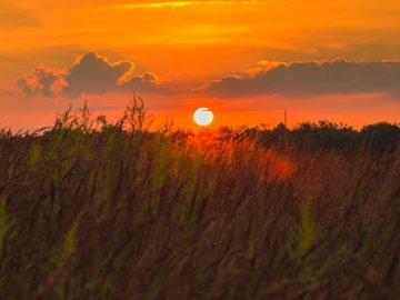Літній вечір на Волині. ФОТО