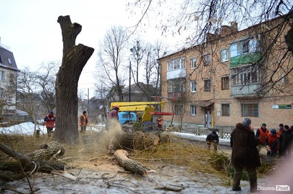 28 лютого: у луцькому «парку Горького» почали зрізати дерева. До кінця літа тут постане бідненький але новенький сквер