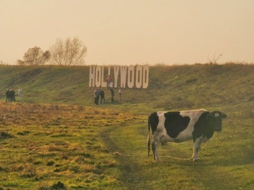 Фото з групи vk.com/lovelutsk