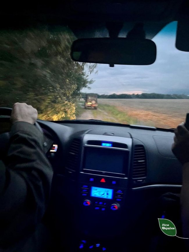 На Волині браконьєри вбили козулю