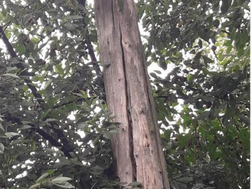 У селищі на Волині біля багатоповерхівки – аварійна електроопора