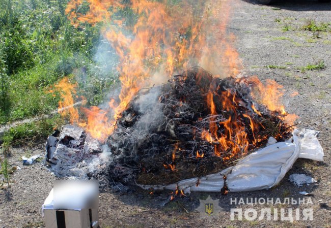 Волинські поліцейські знищили купу наркотиків. ФОТО
