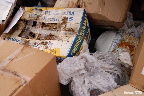 Під Луцьком знищили наркотиків на 2 мільйони гривень. ФОТО