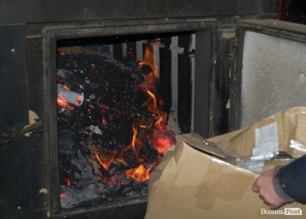 Під Луцьком знищили наркотиків на 2 мільйони гривень. ФОТО