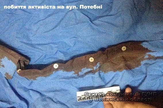 Хто побив громадських активістів у Луцьку. ФОТО