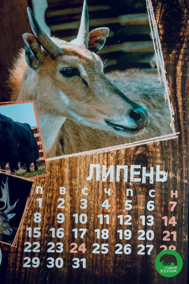 Зубаті і хвостаті: випустили календар з мешканцями луцького зоопарку. ФОТО